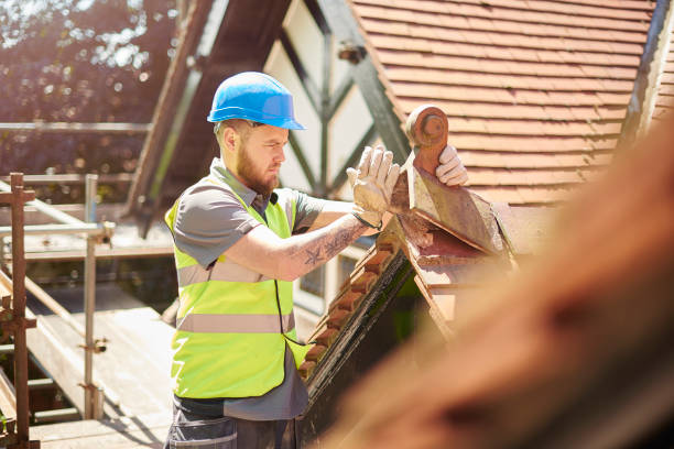 Best Roof Gutter Cleaning  in Kingsley, MI